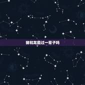 猪和龙能过一辈子吗，dp龙猪个人资料