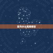 鼠与什么属相相合，属鼠的人和什么属相合