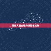 属蛇人最合适的微信名成熟，属蛇带财运的微信头像