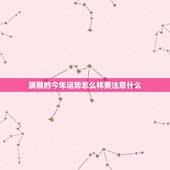 属猴的今年运势怎么样要注意什么，80猴2021年几月走大运