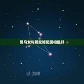 属马女与属蛇婚配属相最好，女属马和什么属相最配