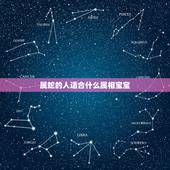 属蛇的人适合什么属相宝宝，男属马女属鼠，生什么属相的孩子好