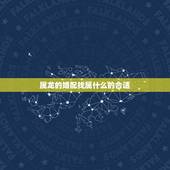 属龙的婚配找属什么的合适，在婚姻当中属龙应配什么生肖最好