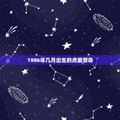 1986年几月出生的虎最苦命，1986年属虎的几月命好