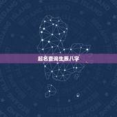 起名查询生辰八字，帮忙查生辰八字及取名