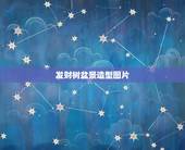 发财树盆景造型图片，这盆发财树怎么修剪呢？