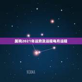 属狗2021年运势及运程每月运程，狗年出生的人2021年运程每月运势