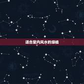 适合室内风水的绿植，卧室适合摆放什么绿植