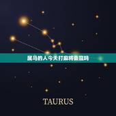 属马的人今天打麻将会赢吗，属马的今天适合打麻将吗