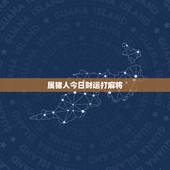 属猪人今日财运打麻将，71金猪适合打麻将吗2022