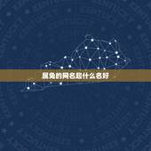 属兔的网名起什么名好，属兔的女生起什么名字最好