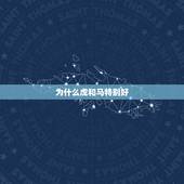 为什么虎和马特别好，虎和马谁说了算