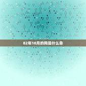 82年10月的狗是什么命，82年属狗的是10月初一是什么12点到两是什