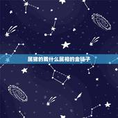 属猪的戴什么属相的金链子，属猪的人佩戴什么款式黄金吊坠好