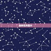 各种花卉图片，求各种花的图片和名称！
