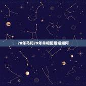 78年马和79年羊相配婚姻如何，1978年属马的跟1991年属羊的婚姻