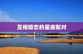 互相暗恋的星座配对，12星座配对