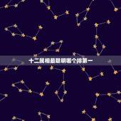 十二属相最聪明哪个排第一，十二生肖谁最聪明？