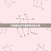 天蝎座与双子座婚配会怎么样，天蝎座和双子座配吗？他们相爱结果会怎样？