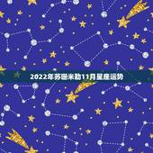 2022年苏珊米勒11月星座运势，苏珊米勒2014年12月水瓶座运势