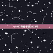 1987年兔子跟2022牛，1987年的兔子是什么命