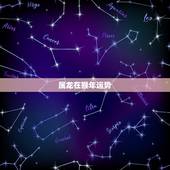 属龙在猴年运势，属龙的人在2016年的猴年运气好吗