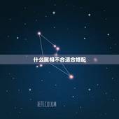 什么属相不合适合婚配，婚配说属相不合不易结婚，这些人结婚后真的过不好吗