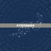 天干丙火地支寅木，地支财算不算妻