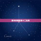 属羊的婚配表十二生肖，生肖羊与生肖羊婚配可以吗