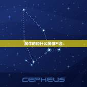 属牛的和什么属相不合，属牛的生肖跟什么生肖相冲