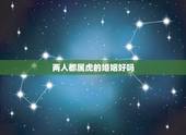 两人都属虎的婚姻好吗，两人都是o型血