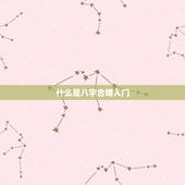 什么是八字合婚入门，八字合婚是什么意思啊？