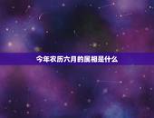 今年农历六月的属相是什么，六月初三属什么么生肖