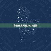 命宫在亥天相2022运势，命宫主星紫微天相，求大师解惑
