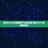 属虎2022年谁都躲不过的劫难 属虎2022婚姻感情运