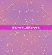 婚配中的十二相属合与不合，属相的合与不合真的那么灵，重要吗？