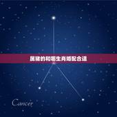 属猪的和哪生肖婚配合适，属猪和什么属相最配 十二生肖之属猪的婚配表