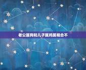 老公属狗和儿子属鸡属相合不，请问属狗和属鸡的真的不能相配吗