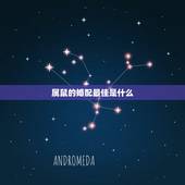 属鼠的婚配最佳是什么，属鼠的生肖和属什么的最相配