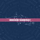 属猴的和哪个属相最有缘分，属猴的和什么属相最配