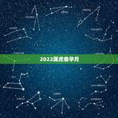 2022属虎备孕月，2023年属兔的是什么命