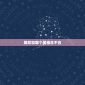 属蛇和哪个属相合不合，属蛇和什么属相最配