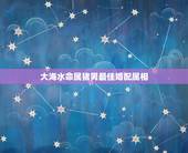 大海水命属猪男最佳婚配属相，属猪的最佳婚配是什么属相