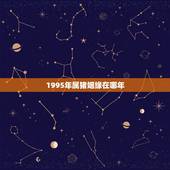 1995年属猪姻缘在哪年，95年属猪的姻缘方位