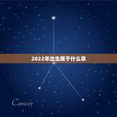 2022年出生属于什么命，为什么虎年不要孩子