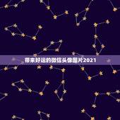 带来好运的微信头像图片2021，微信头像用什么最好最吉利2021