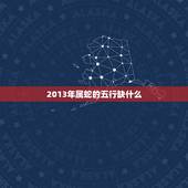 2013年属蛇的五行缺什么，五行相生相克