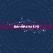 属虎的男孩起什么名字好 2022年会和前任联系的星座