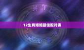 12生肖婚姻最佳配对表，十二生肖最佳配对表格