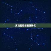 属虎的婚姻最佳配偶，属虎的最佳婚配